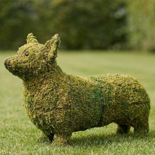 Mossed Corgi Topiary, 17 Inch
