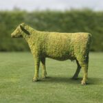 Cow Topiary, 60 Inches Tall, Moss Covered