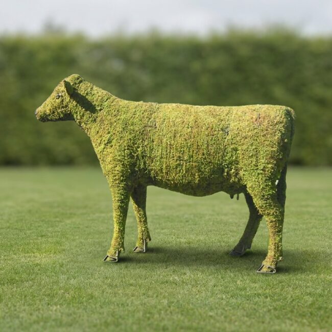 Cow Topiary, 60 Inches Tall, Moss Covered, 24–60 in