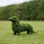 Dachshund Topiary, 13 inch Mossed