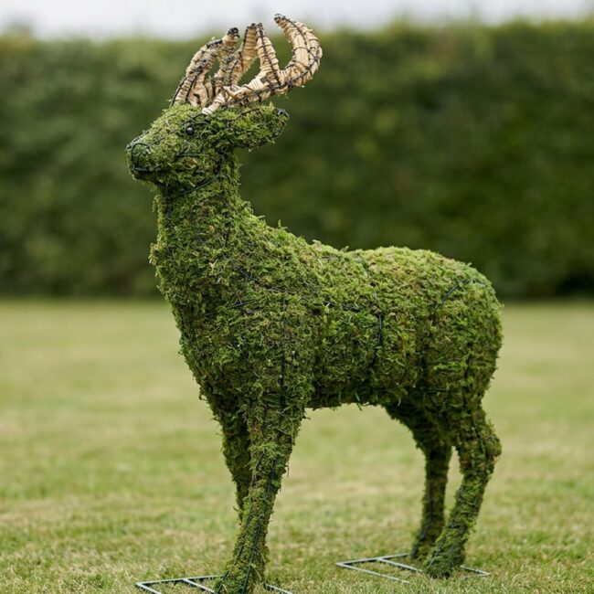 52 Inch Mossed Deer Topiary