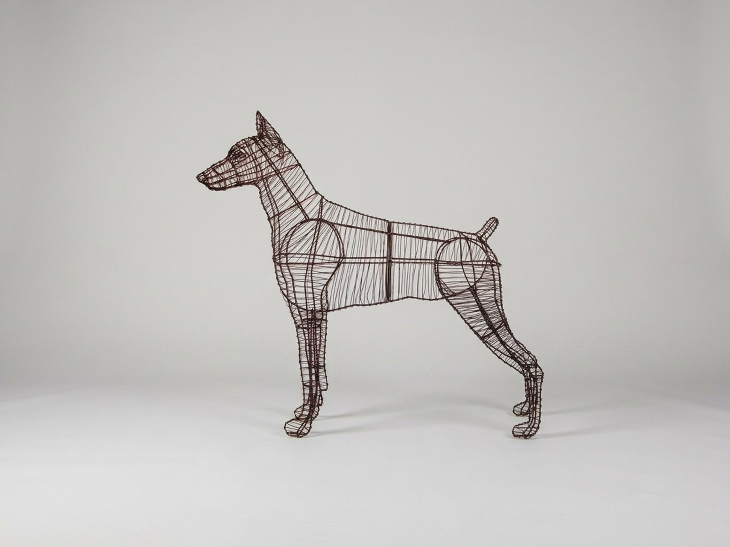 Doberman Topiary, Wire frame, 36 in