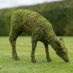 Mossed Doe Topiary, 15 in