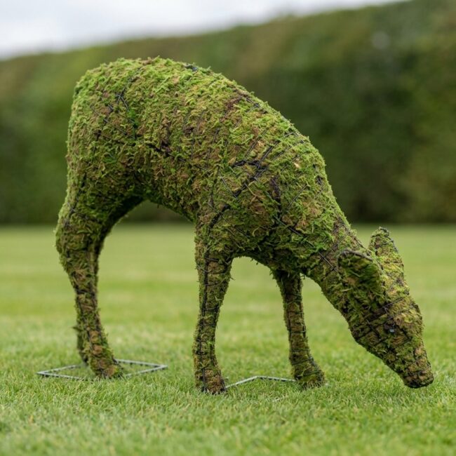 Mossed Doe Topiary, 15–31 in