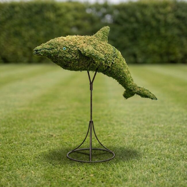 Dolphin Topiary, 33 in (Mossed)