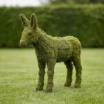 18-Inch Mossed Donkey Topiary