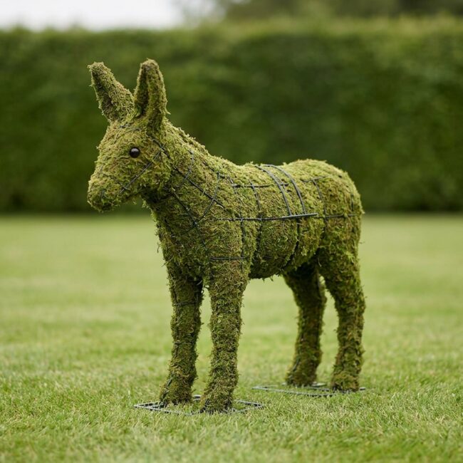 18-Inch Mossed Donkey Topiary