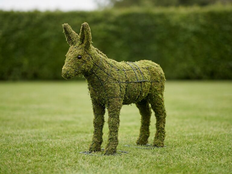 18-Inch Mossed Donkey Topiary