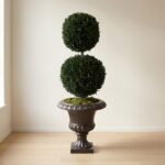 Preserved Double Ball Topiary, 40 Inch