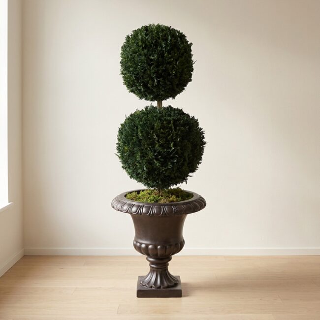 Preserved Double Ball Topiary, 40 Inch