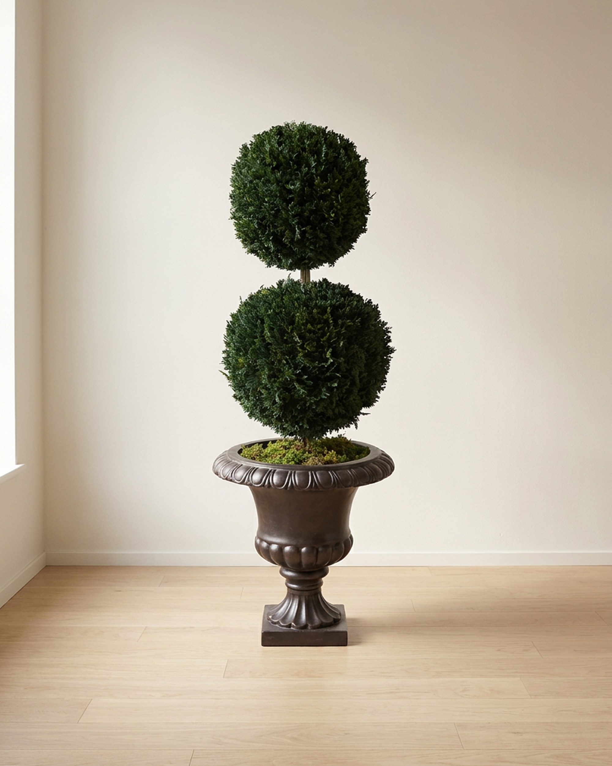 Preserved Double Ball Topiary, 40 Inch Preserved Double Ball Topiary, 40 Inch