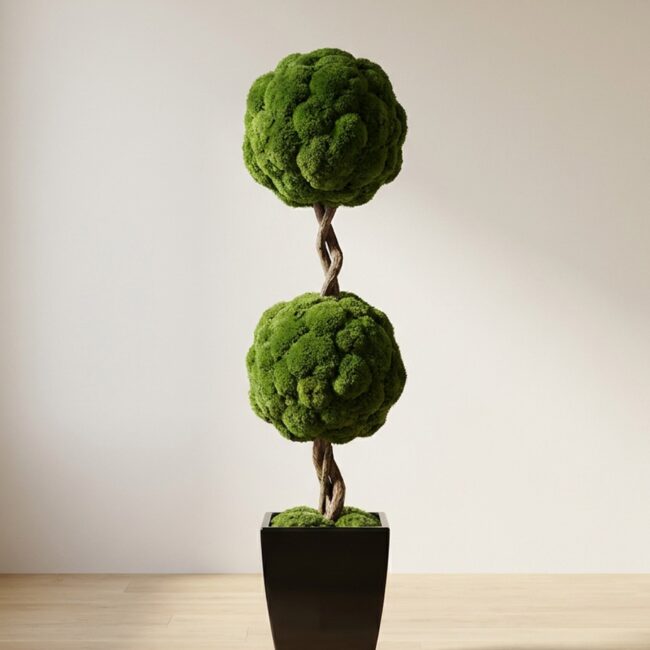Double Moss Ball Preserved Topiary