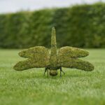 Dragonfly Topiary, 48 Inch Wide (Mossed)