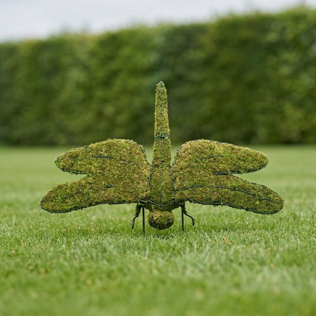 Dragonfly Topiary, 48 Inch Wide (Mossed)