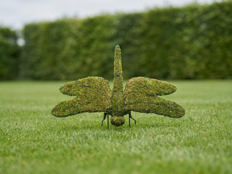 Dragonfly Topiary, 48 Inch Wide (Mossed)