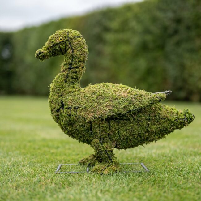Duck Topiary, 19 inch Mossed, 9–19 in