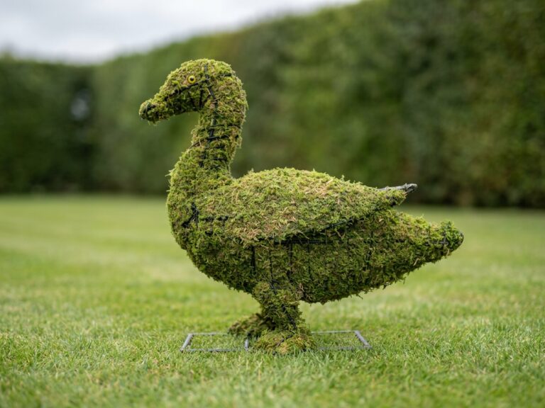 Duck Topiary, 19 inch Mossed
