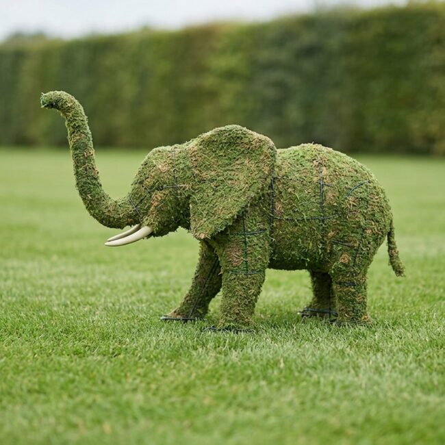 Elephant Topiary, 19 Inch (Mossed)
