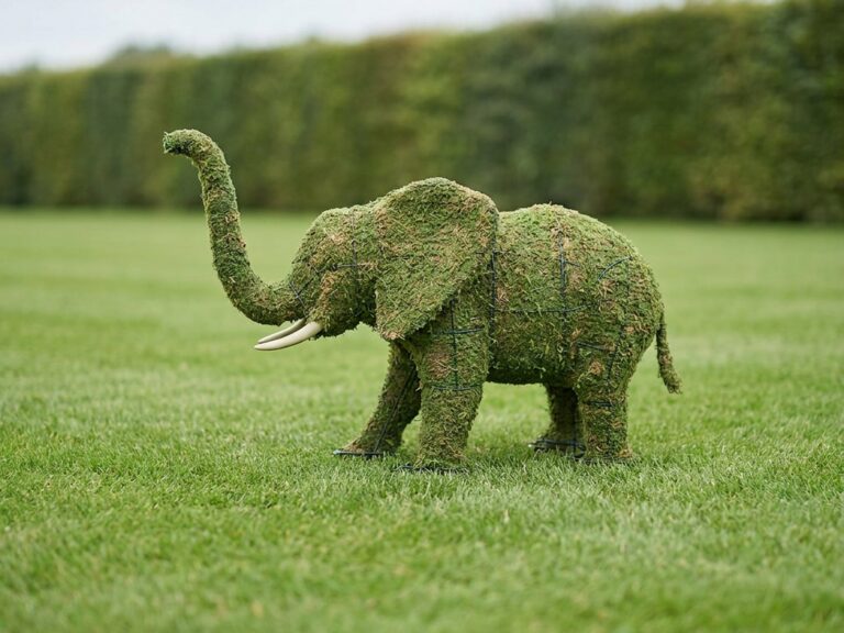 Elephant Topiary, 19 Inch (Mossed)