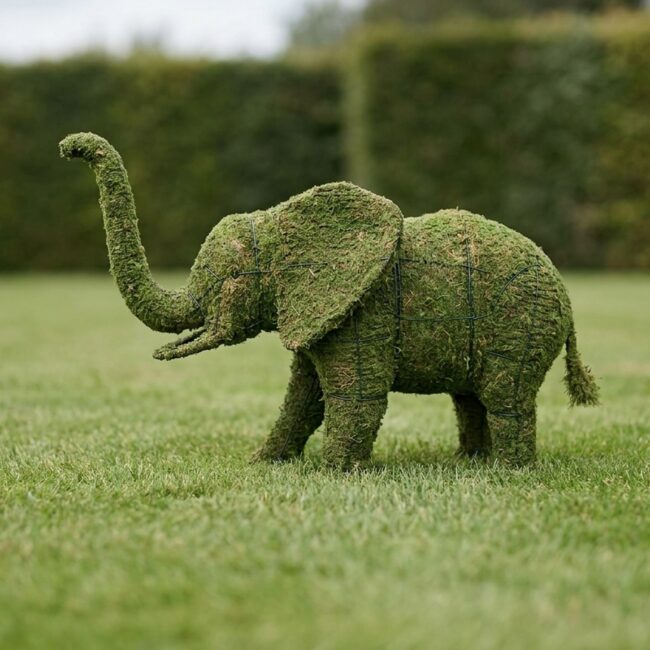 Elephant Topiary, 32 Inch (Mossed)