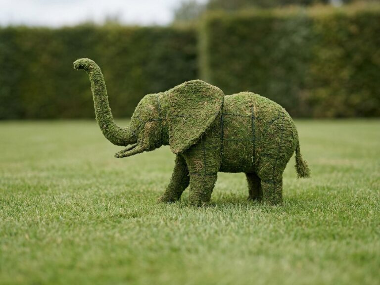Elephant Topiary, 32 Inch (Mossed)