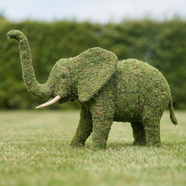 Elephant Topiary, 60 in (Mossed)
