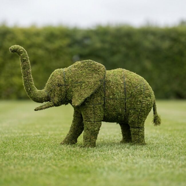 Elephant Topiary, 48 in (Mossed)