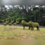 Family of Flamingos Topiary, Mossed Foliage