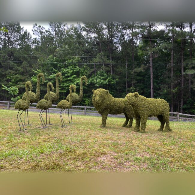 Family of Flamingos Topiary, Mossed Foliage