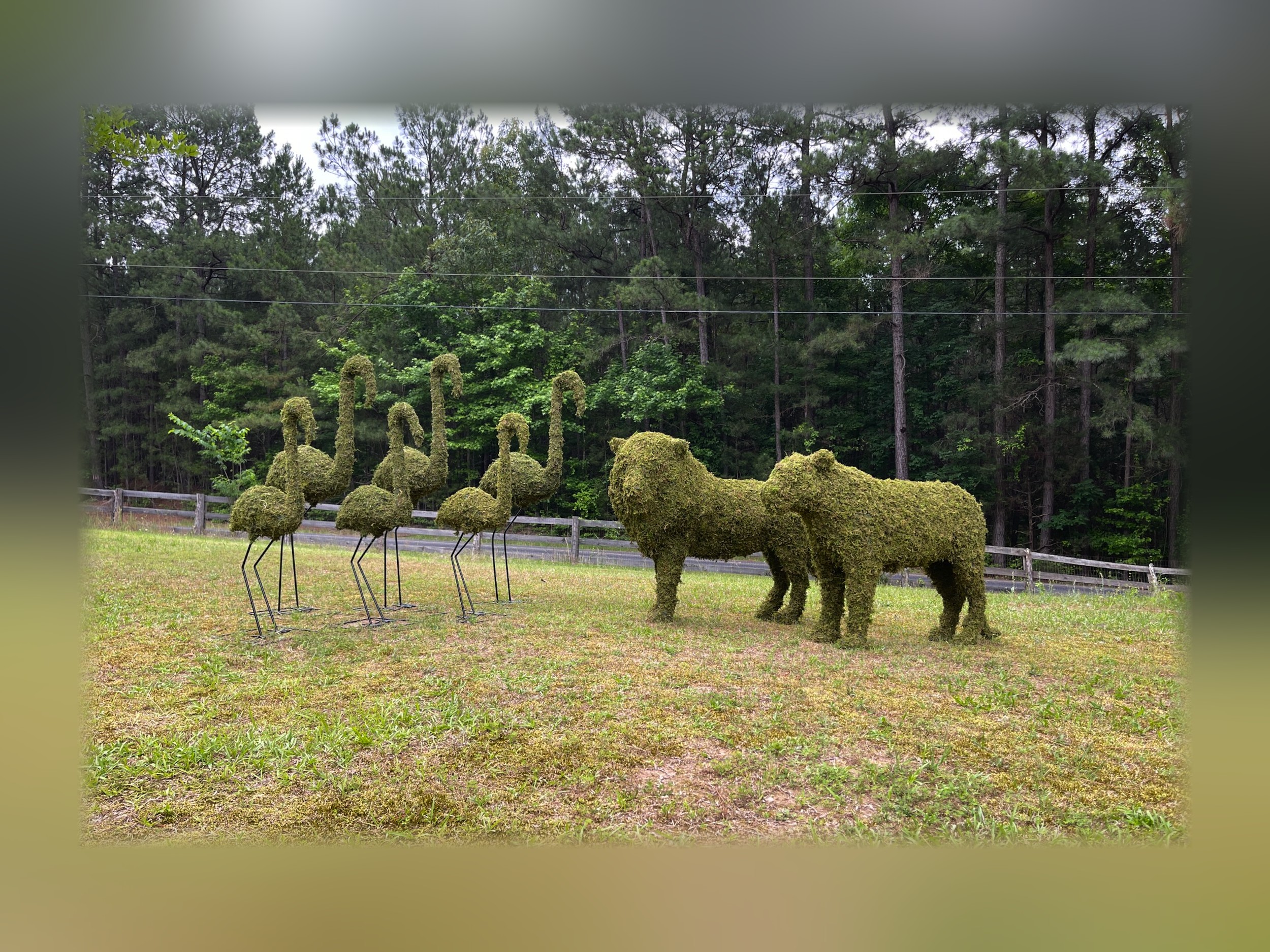 Family Of Flamingos Foliage Topiary, Mossed Family Of Flamingos Foliage Topiary, Mossed