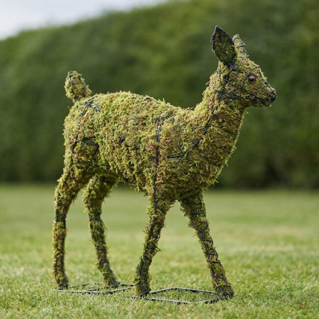 Fawn Topiary, 25 Inch (Mossed)