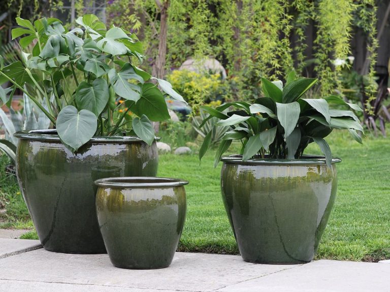 Fish Bowl Planter, Set of 3: Fern Green