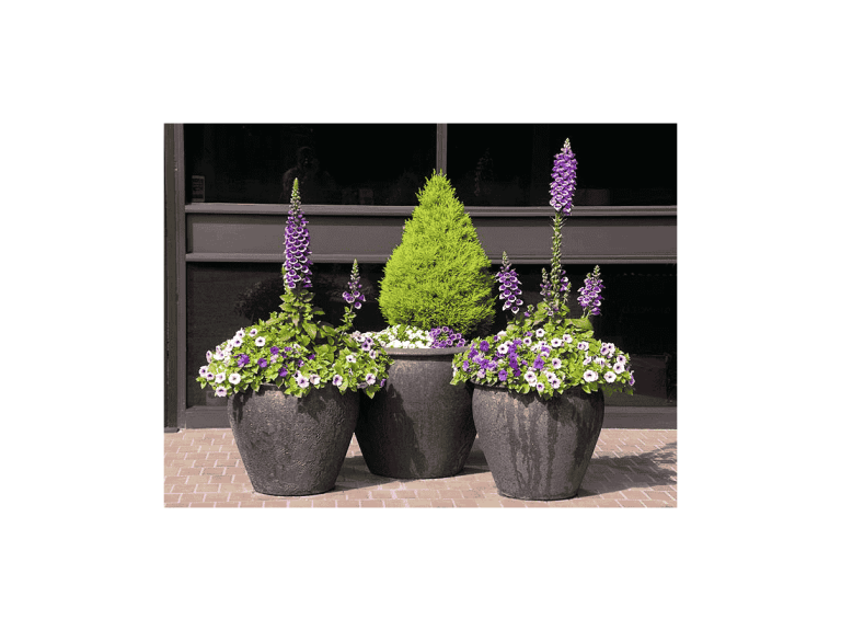 Fish Bowl Planter, Set of 3: Silver Rock