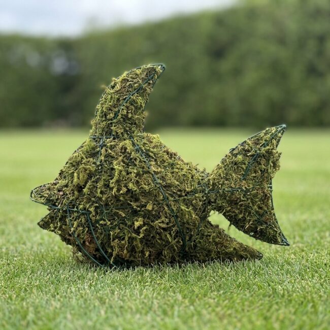Fish Topiary, 12 in (Mossed)