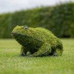 Frog Topiary, Mossed, 4 in