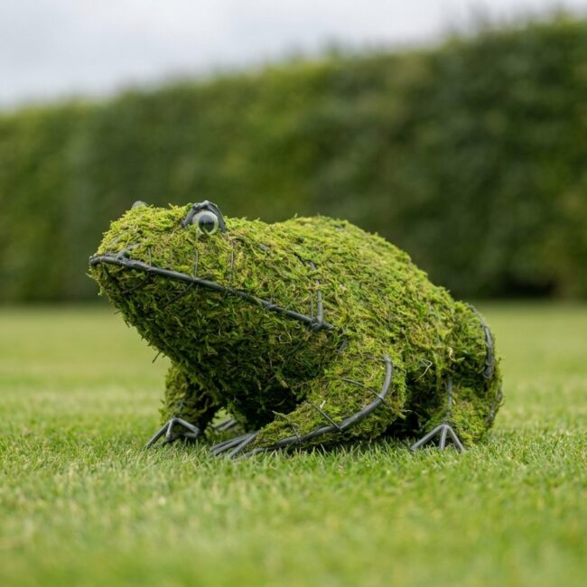 Frog Topiary, Mossed, 4–12 in