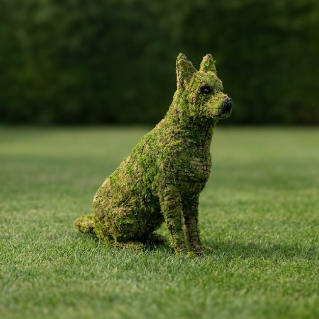 Sitting German Shepherd Mossed Topiary, 36 inch