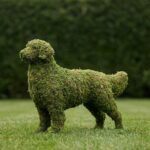 Golden Retriever Topiary, 31 in. (Mossed)