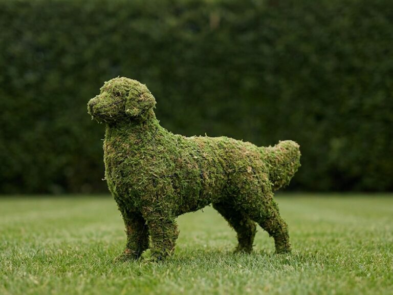 Golden Retriever Topiary, 31 in. (Mossed)