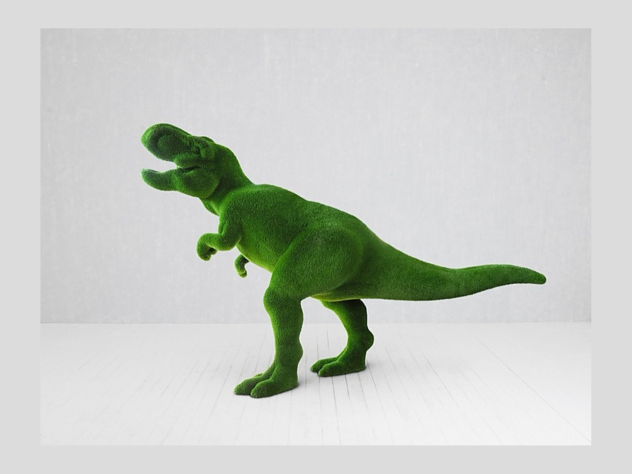 Grass- Dinosaur Topiary Grass- Dinosaur Topiary