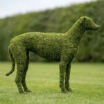 Greyhound Topiary, 37 Inch (Mossed)