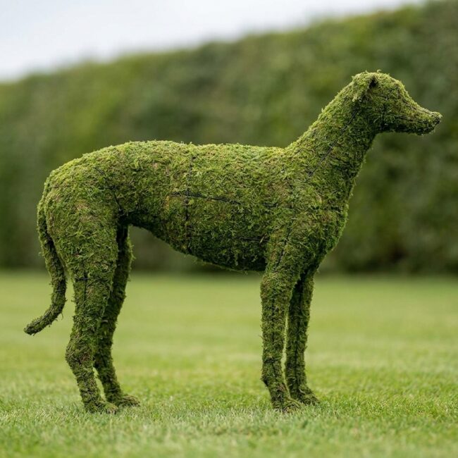 Greyhound Topiary, 37 Inch (Mossed)