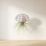 Hanging Striped Urchin with Air Plant (Large)