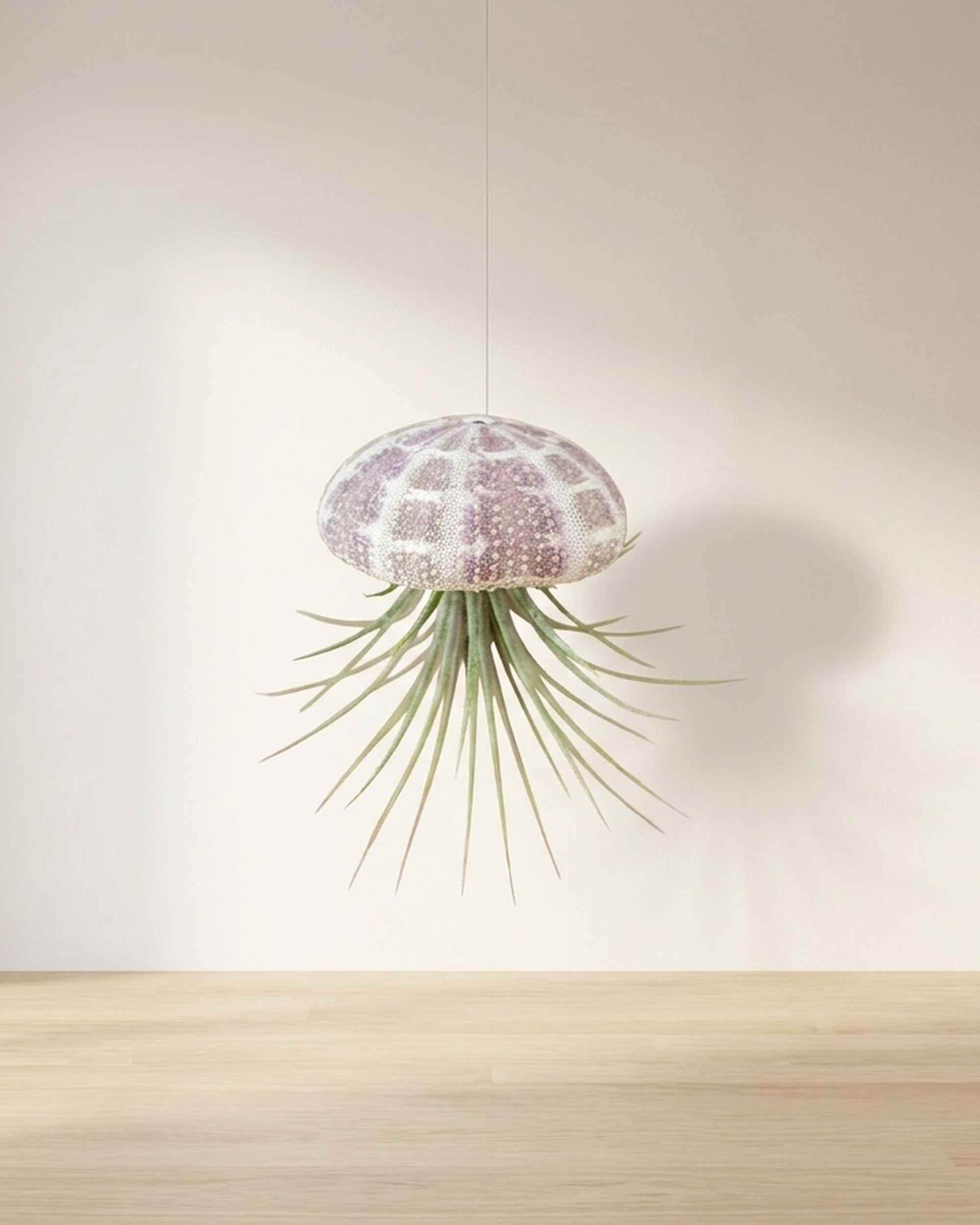 Hanging Striped Urchin with Air Plant (Large) Hanging Striped Urchin with Air Plant (Large)