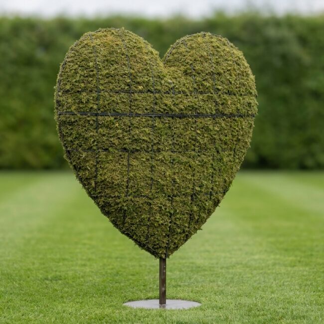 Heart Topiary in Sphagnum Moss, 5 ft