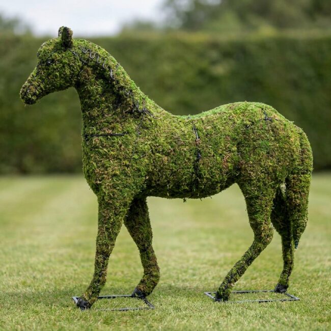 Horse Topiary, 37 inch Mossed Frame, 26–72 in