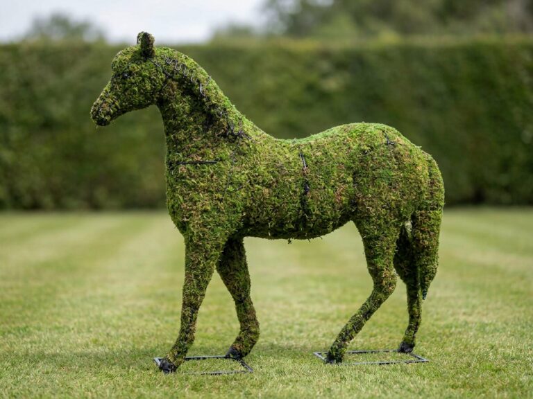 Horse Topiary, 37 inch Mossed Frame
