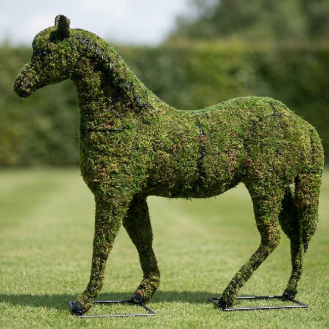 Mossed Horse Topiary Frame, 17 Inches