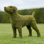 14-Inch Mossed Jack Russell Topiary