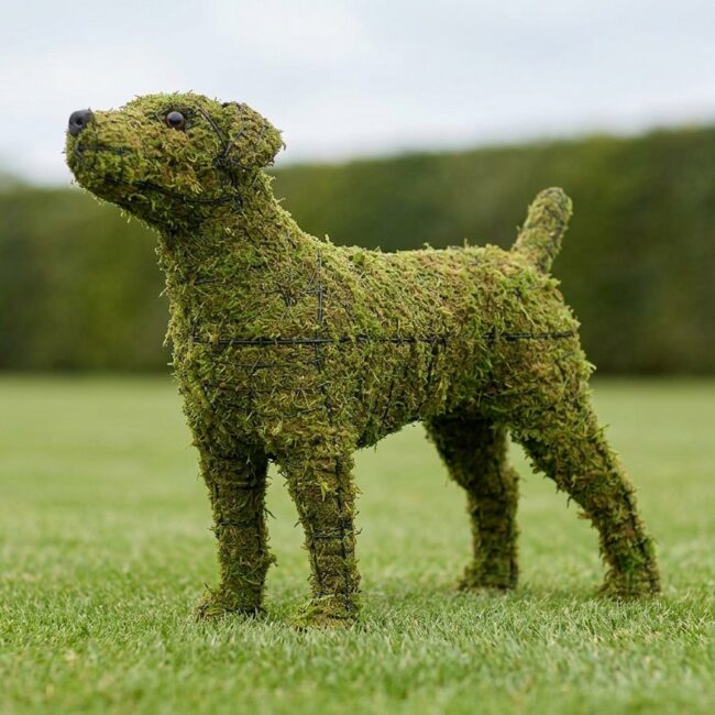 14-Inch Mossed Jack Russell Topiary